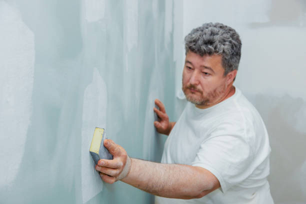 Best Residential Mold Inspection & Testing  in Fetters Hot Springs Agua Liente, CA
